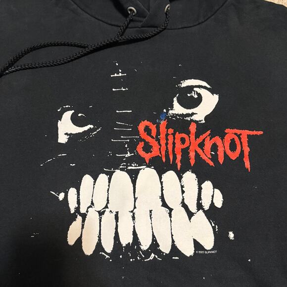 Vintage 2005 Slipknot Maggot Face Hoodie Size Large Distressed Nu Metal - Picture 2 of 9